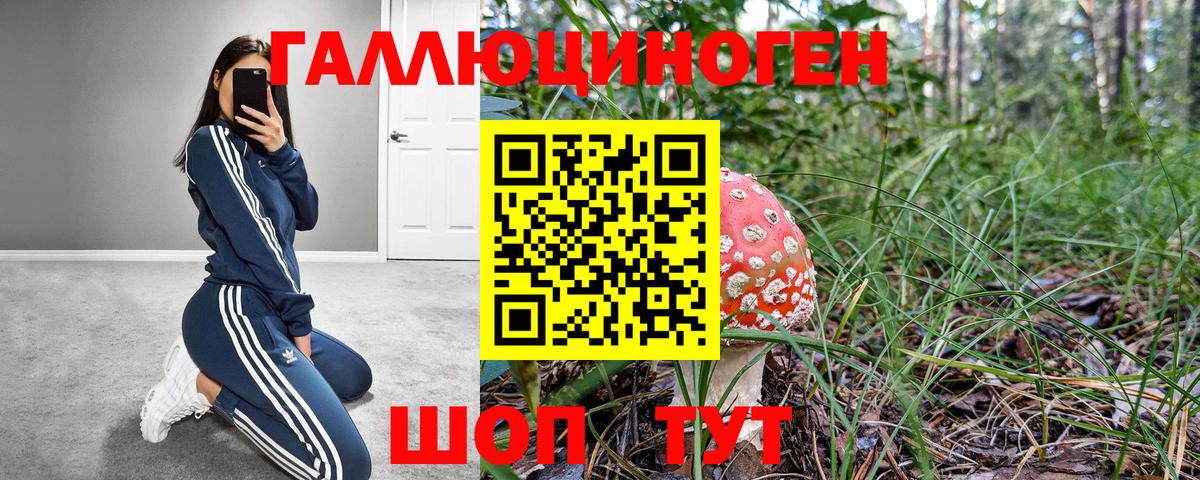 Галлюциногенные грибы мухоморы Губаха