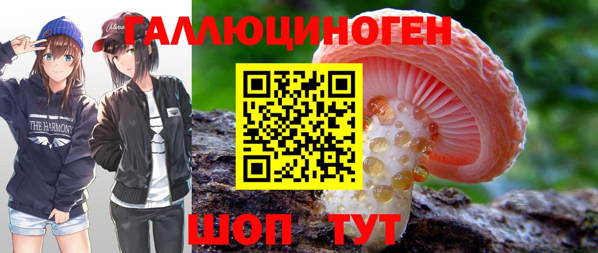Губаха  где можно купить   Вход с VPN  Псилоцибиновые грибы Magic Shrooms  Псилоцибиновые грибы Cubensis 